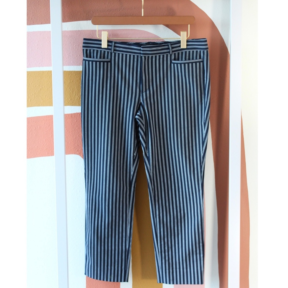Banana Republic Blue and White Striped Cropped Pants